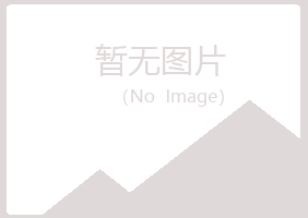 吴川晓夏媒体有限公司